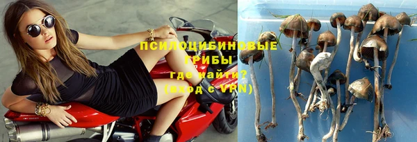 кокс Алзамай