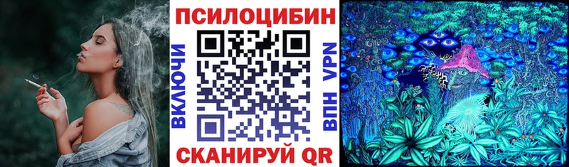 блэк спрут сайт  Николаевск  Псилоцибиновые грибы Psilocybe 
